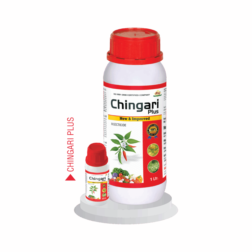 CHINGARI PLUS
