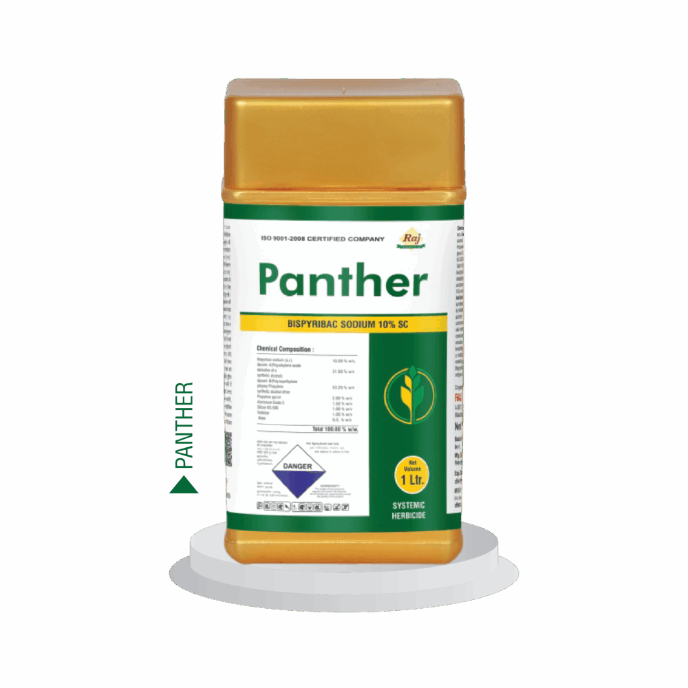 Panther