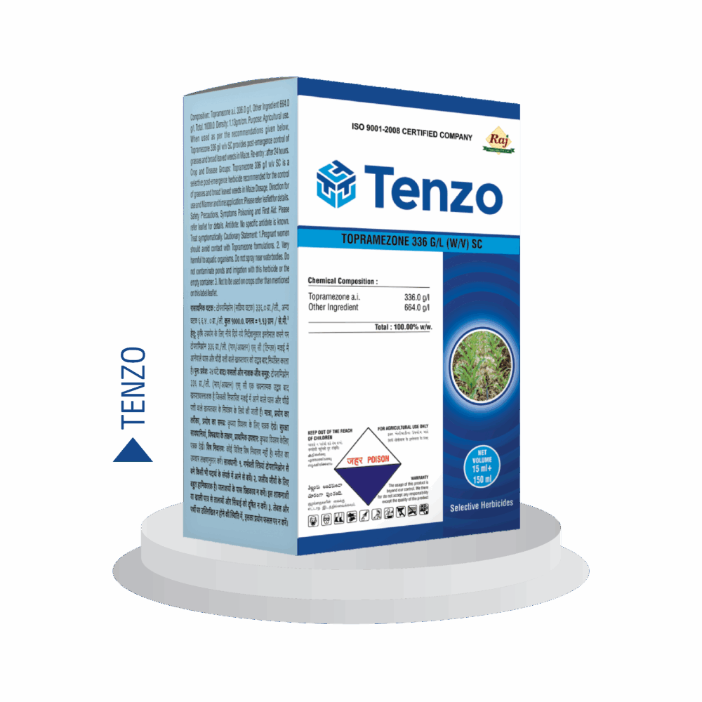 Tenzo